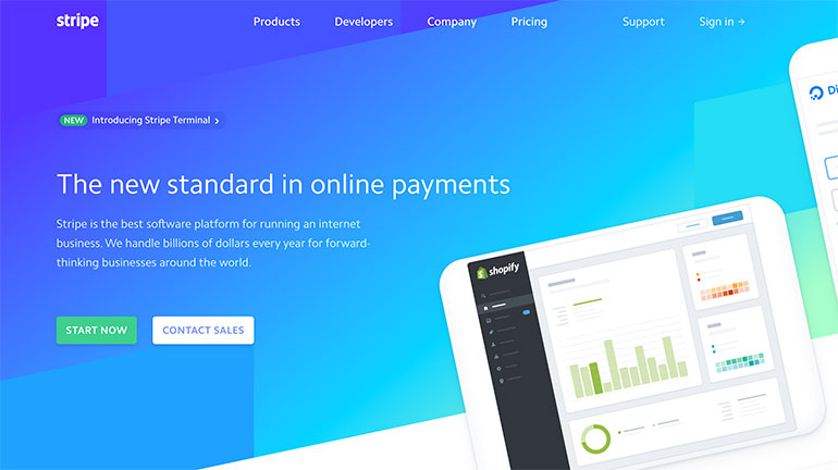 Screenshot of homepage of Stripe website